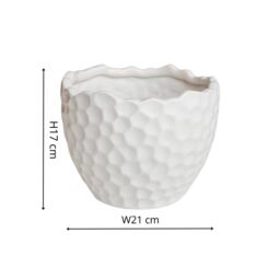 Royal Botanic Gardens Kew Kew Botanical Textured White Planter H17cm D21cm - Ceramic - Textured - Premium Quality - thumbnail 4
