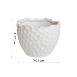 Royal Botanic Gardens Kew Kew Botanical Textured White Planter H17cm D21cm - Ceramic - Textured - Premium Quality - thumbnail 5