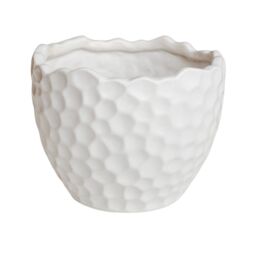 Royal Botanic Gardens Kew Kew Botanical Textured White Planter H17cm D21cm - Ceramic - Textured - Premium Quality - thumbnail 2