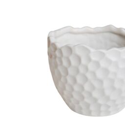 Royal Botanic Gardens Kew Kew Botanical Textured White Planter H17cm D21cm - Ceramic - Textured - Premium Quality - thumbnail 3