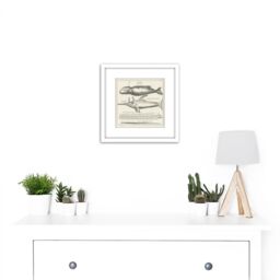 Artery8 Spyck Sperm Whale Sawfish Nature Study Drawing 8X8 Inch Square Wooden Framed Wall Art Print Picture with Mount in White - thumbnail 2