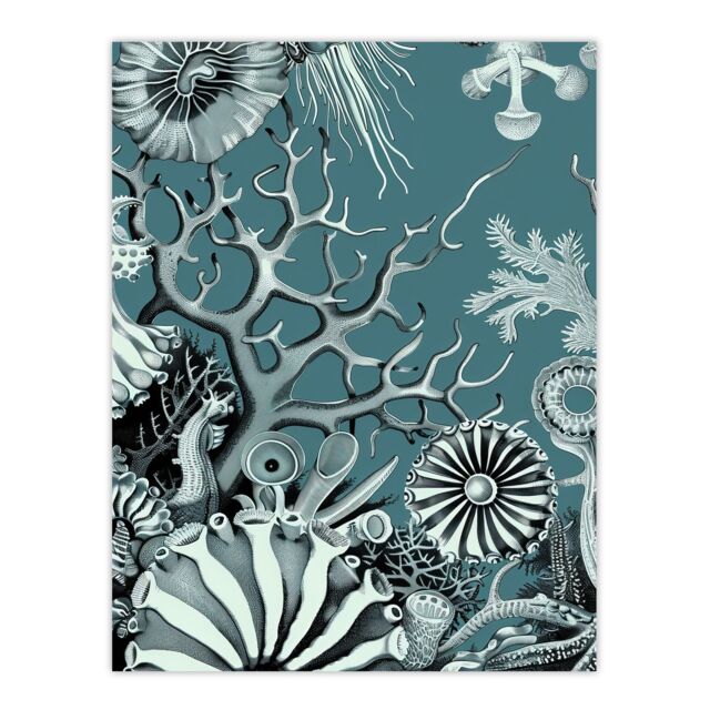 "Artery8 Coral Reef Life Aquatic Blue Landscape Design Wall Art Print - Size: W24"" x H32""" - image 1