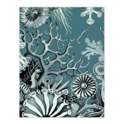 "Artery8 Coral Reef Life Aquatic Blue Landscape Design Wall Art Print - Size: W24"" x H32""" - thumbnail 1