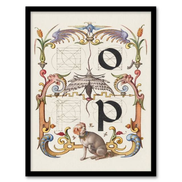 Artery8 Model Book of Calligraphy Framed Wall Art Pictorial Letter Guide O & P in White - Size: A4 - image 1