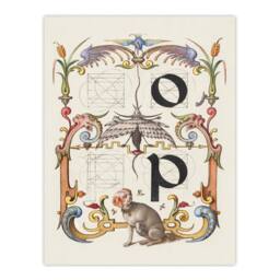 Artery8 Model Book of Calligraphy Framed Wall Art Pictorial Letter Guide O & P in White - Size: A4 - thumbnail 3