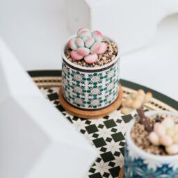 simpa 6PC Bohemian Pattern Ceramic Plant Pots with Bamboo Base - thumbnail 6