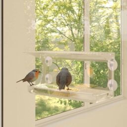 Berkfield Home Window Bird Feeders 2 pcs Acrylic 30x12x15 cm in Black - Size: 30 x 12 x 15 cm - thumbnail 1