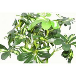 Leaf 70cm Artificial Twisted Stem Modern Arboricola Artificial Plant Bonsai Bush in Green - thumbnail 2