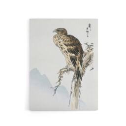 "Artery8 Black Eared Kite Bird Japanese Canvas Wall Art Print Kashu - Size: W18"" x H24""" - thumbnail 1