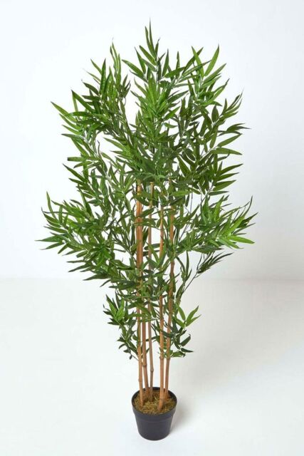 Homescapes Luxury 5ft Bamboo Tree Artificial Plant, Real Stem, Black Pot, 155cm in Green - image 1