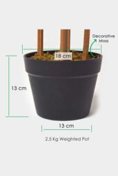 Homescapes Luxury 5ft Bamboo Tree Artificial Plant, Real Stem, Black Pot, 155cm in Green - thumbnail 3