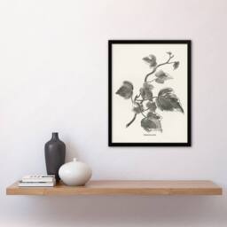 Artery8 Vintage Botanical Marginata Ivy Hibberd Framed Wall Art Print in White - Size: A4 - thumbnail 4