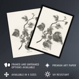 Artery8 Vintage Botanical Marginata Ivy Hibberd Framed Wall Art Print in White - Size: A4 - thumbnail 2