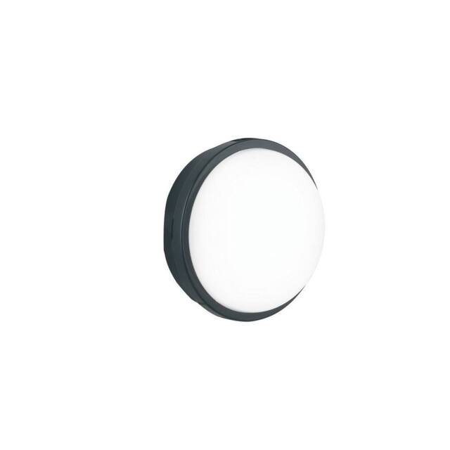 Netlighting EVER LED Outdoor Flush Anthracite IP65 1200lm 4000K 16.7x6.2cm in Black - Size: 16.7x6.2 cm
