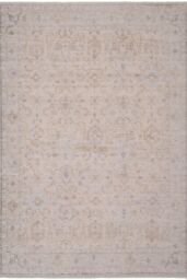 Pale Beige Boho Vintage Style Distressed Living Room Bedroom Area Rug