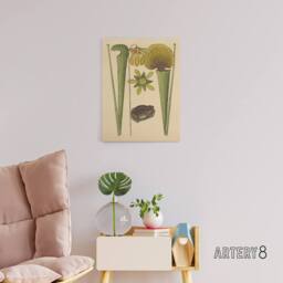 "Artery8 Land Frog & Sarracenia Pitcher Plant Catesby Canvas Wall Art in Beige - Size: W18"" x H24""" - thumbnail 3
