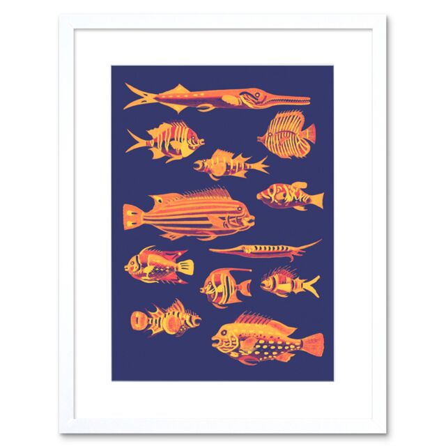 "Artery8 Wall Art Print Vivid School Of Fish Artwork Framed 9X7 Inch in White - Size: W7"" x H9""" - image 1