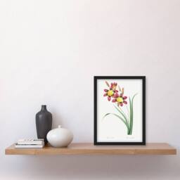 "Artery8 Harlequin Flowers Floral Redoute Vintage Framed Wall Art Print in White - Size: W12"" x H16""" - thumbnail 4