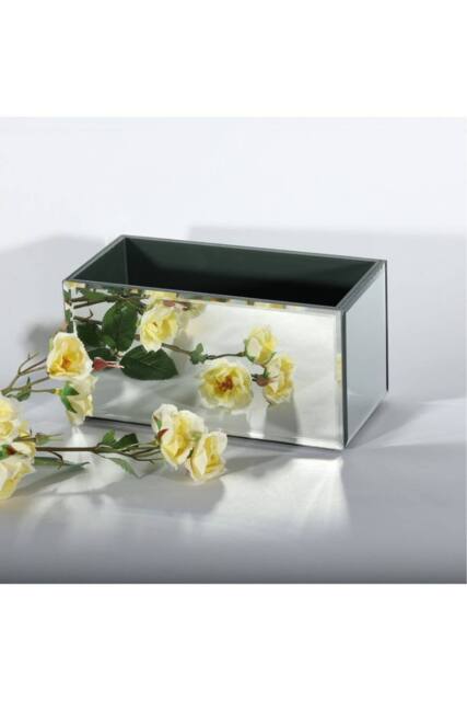KDMD Mirror Rectangular Trough Planter 20cm L in Silver - image 1