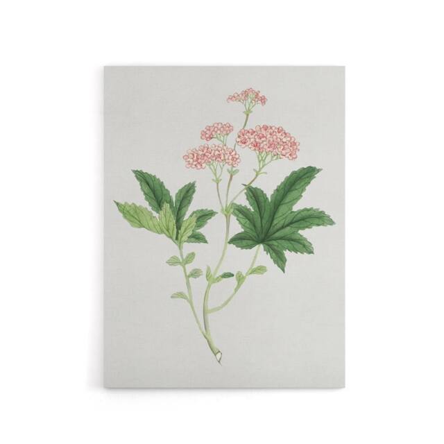"Artery8 Shimotsuke Flower Canvas Wall Art Print Vintage Japan Botanical in Pink - Size: W18"" x H24""" - image 1