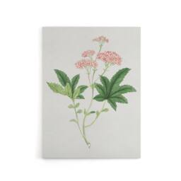 "Artery8 Shimotsuke Flower Canvas Wall Art Print Vintage Japan Botanical in Pink - Size: W18"" x H24""" - thumbnail 1