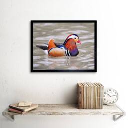 "Artery8 Animal Bird Male Mandarin Duck Home Decor 12x16"" Framed Wall Art Print in Orange - Size: W12"" x H16""" - thumbnail 2