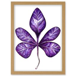 Artery8 Purple on White Money Tree Leaf Modern Simple Illustration Artwork Framed Wall Art Print A4 in Light Oak - thumbnail 1
