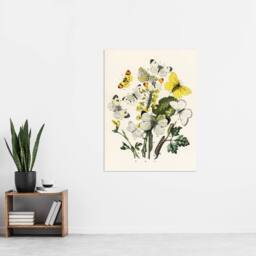 "Artery8 Caterpillars & Butterflies Kirby Vintage Wall Art Print Poster in White - Size: W18"" x H24""" - thumbnail 4
