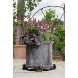 Jardinopia Rose Plant Pot Feet - Set of 3 - L6 x W7.5 x H9 cm in Bronze - thumbnail 6