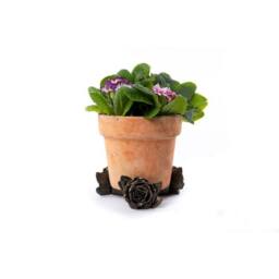 Jardinopia Rose Plant Pot Feet - Set of 3 - L6 x W7.5 x H9 cm in Bronze - thumbnail 5