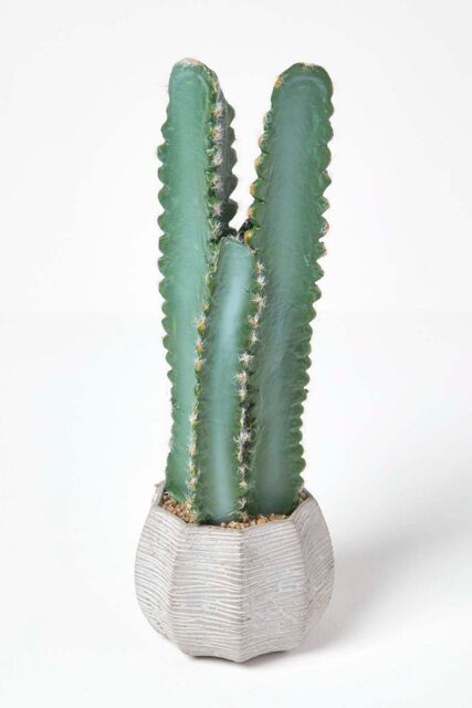 Homescapes Hylcocereus Artificial Cactus In Decorative Textured Stone Pot in Green - image 1