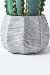 Homescapes Hylcocereus Artificial Cactus In Decorative Textured Stone Pot in Green - thumbnail 3