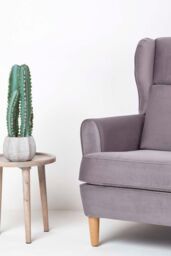 Homescapes Hylcocereus Artificial Cactus In Decorative Textured Stone Pot in Green - thumbnail 2