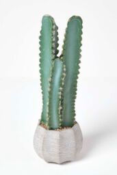 Homescapes Hylcocereus Artificial Cactus In Decorative Textured Stone Pot in Green
