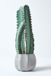 Homescapes Hylcocereus Artificial Cactus In Decorative Textured Stone Pot in Green - thumbnail 5