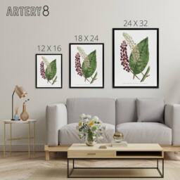 "Artery8 Francis Sansom American Pokeweed Vintage Botanical Framed Canvas Art in White - Size: W12"" x H16""" - thumbnail 4