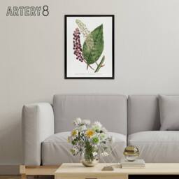 "Artery8 Francis Sansom American Pokeweed Vintage Botanical Framed Canvas Art in White - Size: W12"" x H16""" - thumbnail 3