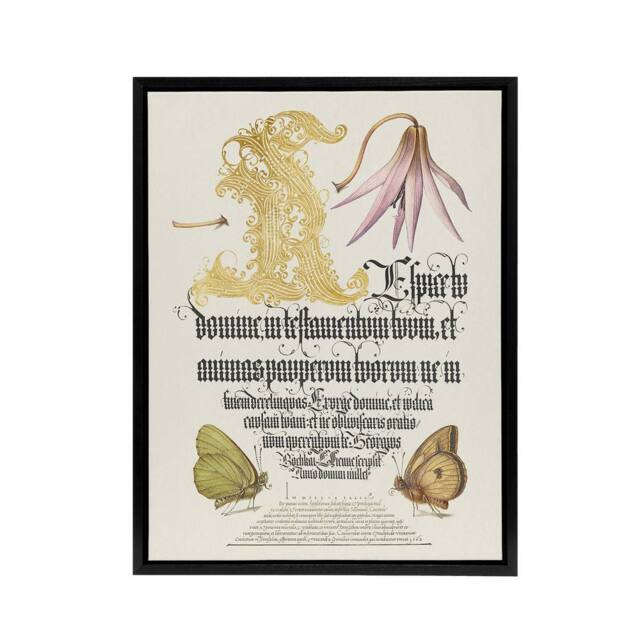 "Artery8 Dog Tooth Violet & Butterflies Calligraphy Framed Canvas Wall Art in White - Size: W12"" x H16""" - image 1