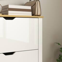 Wyld Haus Dorane Lake High Gloss White Slim Shoe Cabinet 3 Flip Drawers - thumbnail 9