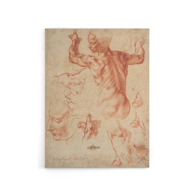 "Artery8 Michelangelo Studies For The Libyan Canvas Wall Art Print in Beige - Size: W24"" x H32""" - image 1
