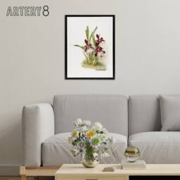"Artery8 Frederick Sander Miltonia Moreliana Orchid Flowers Framed Canvas Art - Size: W12"" x H16""" - thumbnail 3