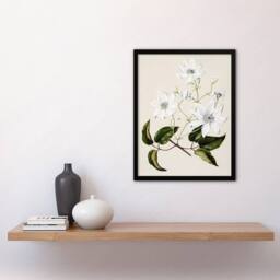 Artery8 New Zealand Puawananga Clematis Flowers Featon Framed Wall Art Print in Beige - Size: A4 - thumbnail 4