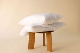 surrey down Duck Feather & Down Continental Pillow in White