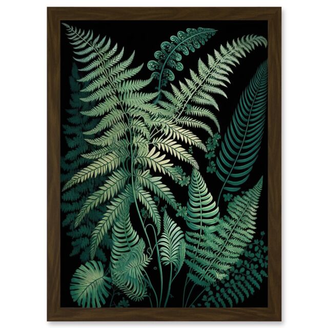 Artery8 Ernst Haeckel Style Fern Fronds Botanical Detailed Artwork Framed Wall Art Print A4 in Brown - image 1
