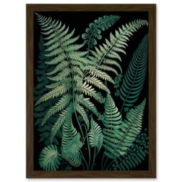 Artery8 Ernst Haeckel Style Fern Fronds Botanical Detailed Artwork Framed Wall Art Print A4 in Brown - thumbnail 1