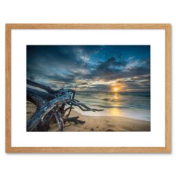 "Artery8 Wall Art Print Driftwood Beach Sunset Ocean Framed in Beige - Size: W7"" x H9""" - thumbnail 1