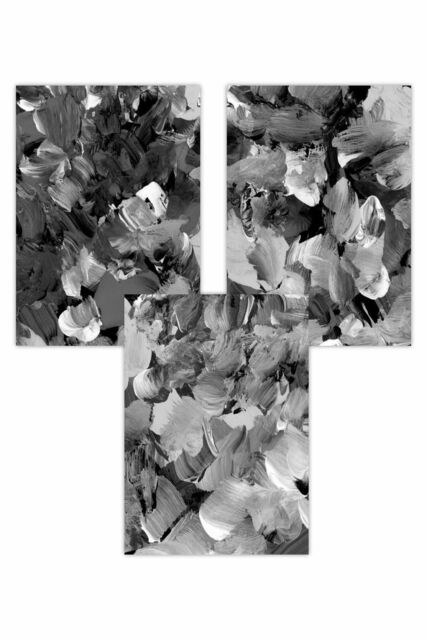 ARTZE Set of 3 Abstract Wild Garden Flowers in Black & Grey Art Posters - Size: W50 cm x H70 cm - image 1