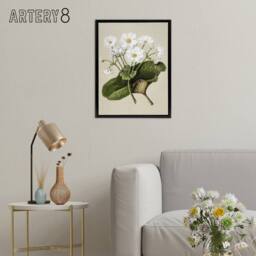 "Artery8 New Zealand Mountain Lily Flowers Featon Framed Canvas Wall Art Print in Beige - Size: W12"" x H16""" - thumbnail 3