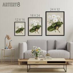 "Artery8 New Zealand Mountain Lily Flowers Featon Framed Canvas Wall Art Print in Beige - Size: W12"" x H16""" - thumbnail 4