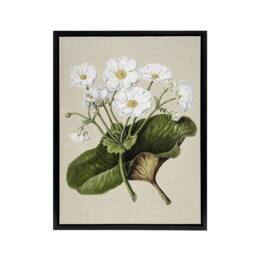 "Artery8 New Zealand Mountain Lily Flowers Featon Framed Canvas Wall Art Print in Beige - Size: W12"" x H16""" - thumbnail 1